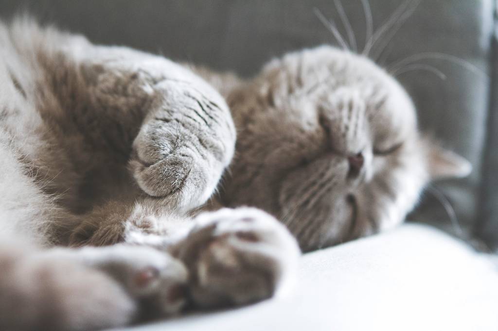 Oefening Progressieve relaxatie